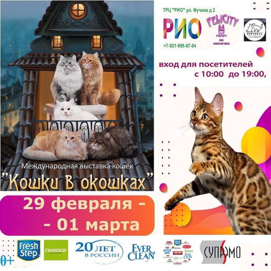Международная выставка кошек